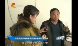 沧州生活爆料事件视频最新,最新视频揭露惊人真相！