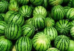 网红吃瓜群怎么进群的,如何轻松加入热门话题聚集地