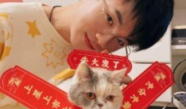 瓶子最新转会期爆料,揭秘瓶子最新转会期幕后故事